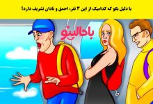 آزمون تصویری با شناسایی احمق