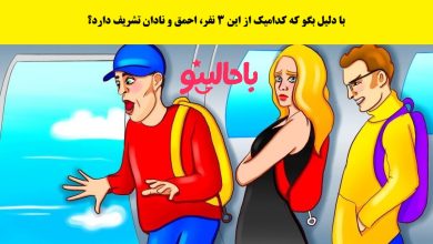 آزمون تصویری با شناسایی احمق