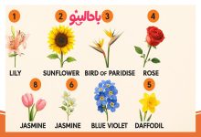 تست شخصیت روابط عاشقانه