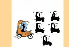 آزمون تصویری با سایه خودرو