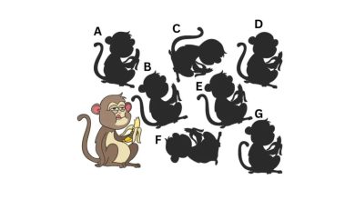 آزمون شناسایی سایه میمون