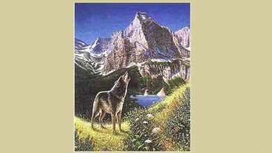 تست تصویری سنجش دقت مغز