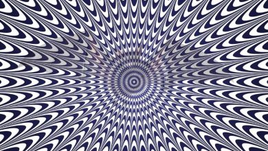 آزمون حیوان پنهان در توهم نوری