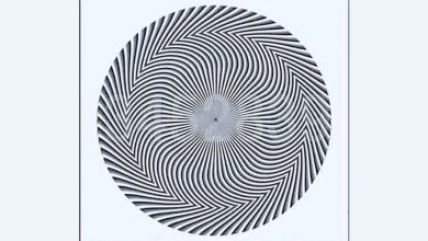 آزمون شناسایی عدد مخفی شکل هندسی