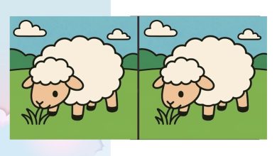 تست تمرکز با گوسفند مرتع